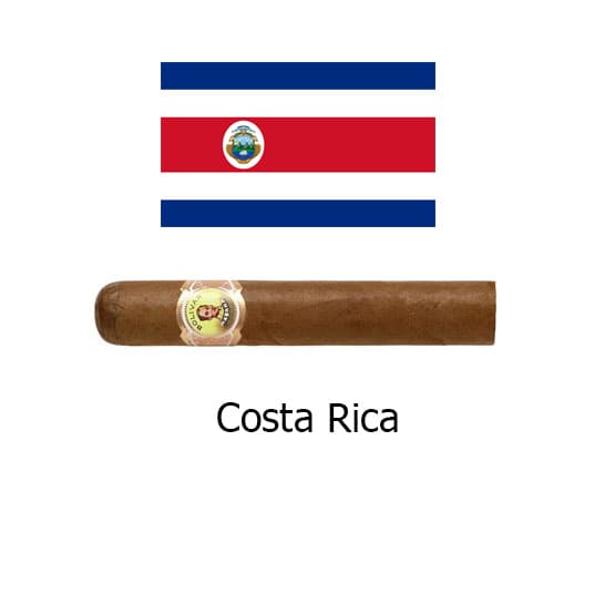 Bolivar Royal Corona 6