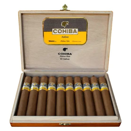 Cohiba Ambar