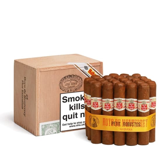 Hoyo De Monterrey Petit Robusto