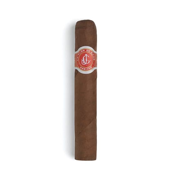 La Flor de Cano Elegidos 3