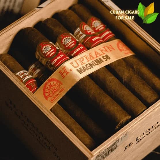 H. Upmann Magnum 56 4