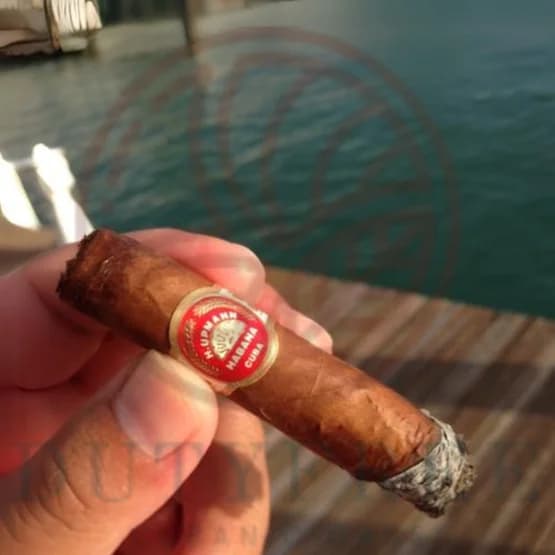 H. Upmann Petit Corona 3