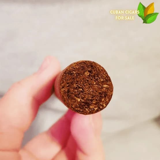 Montecristo 80th Anniversary 4