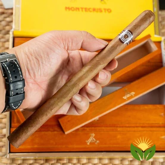 Montecristo A 3