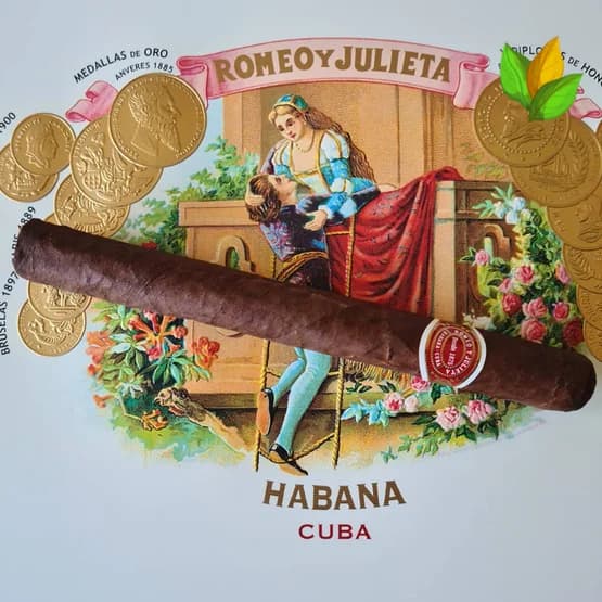 Romeo y Julieta Capuletos EL 2016 3