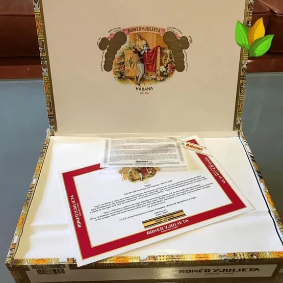 Romeo y Julieta Capuletos EL 2016 4