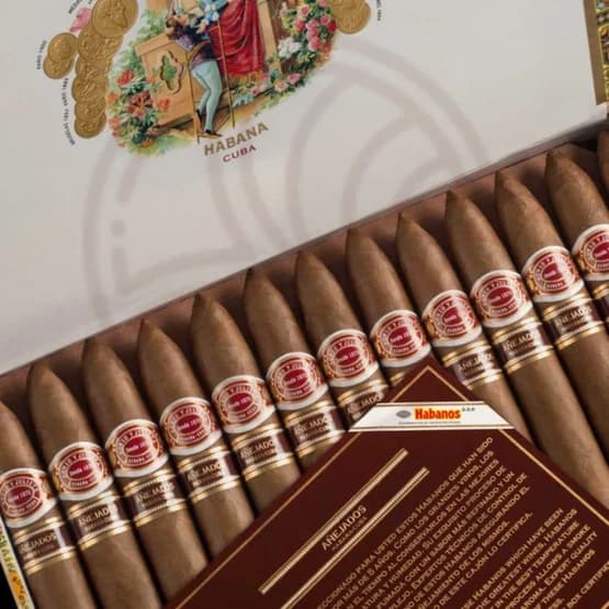 Romeo y Julieta Piramides Añejados 2