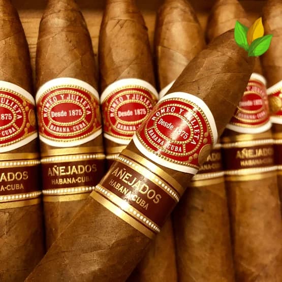 Romeo y Julieta Piramides Añejados 5