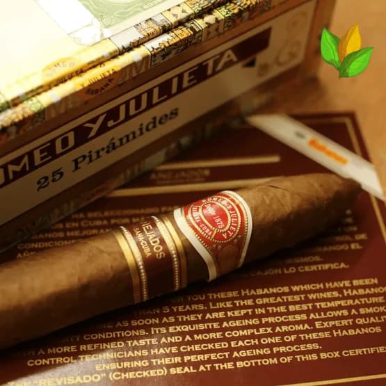 Romeo y Julieta Piramides Añejados 6
