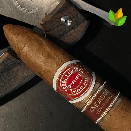 Romeo y Julieta Piramides Añejados 7