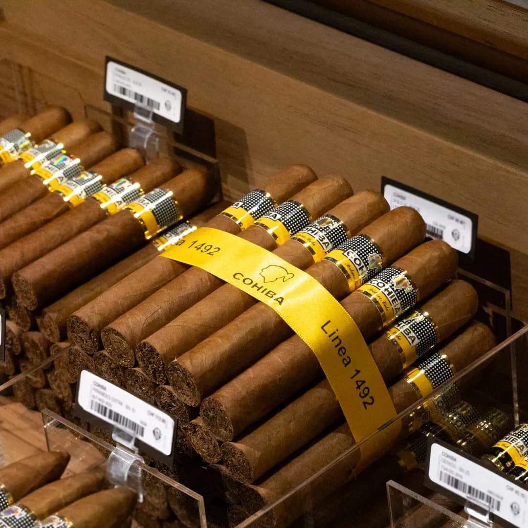 Cohiba Línea 1492 cigars stacked in a humidor