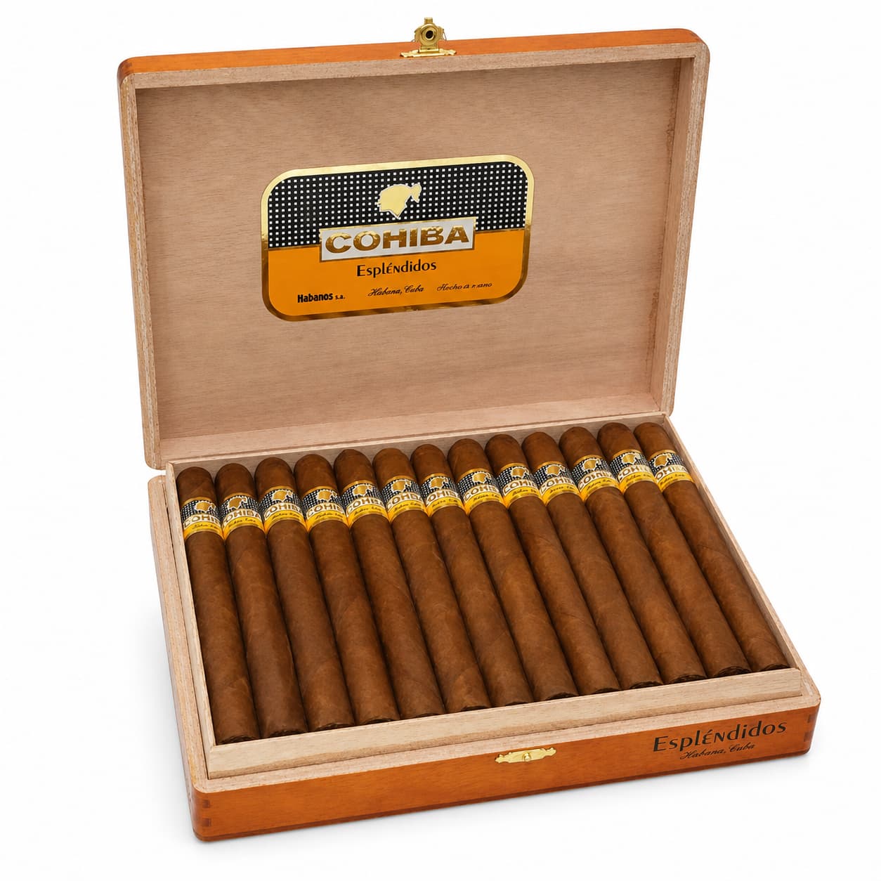 Cohiba Esplendidos