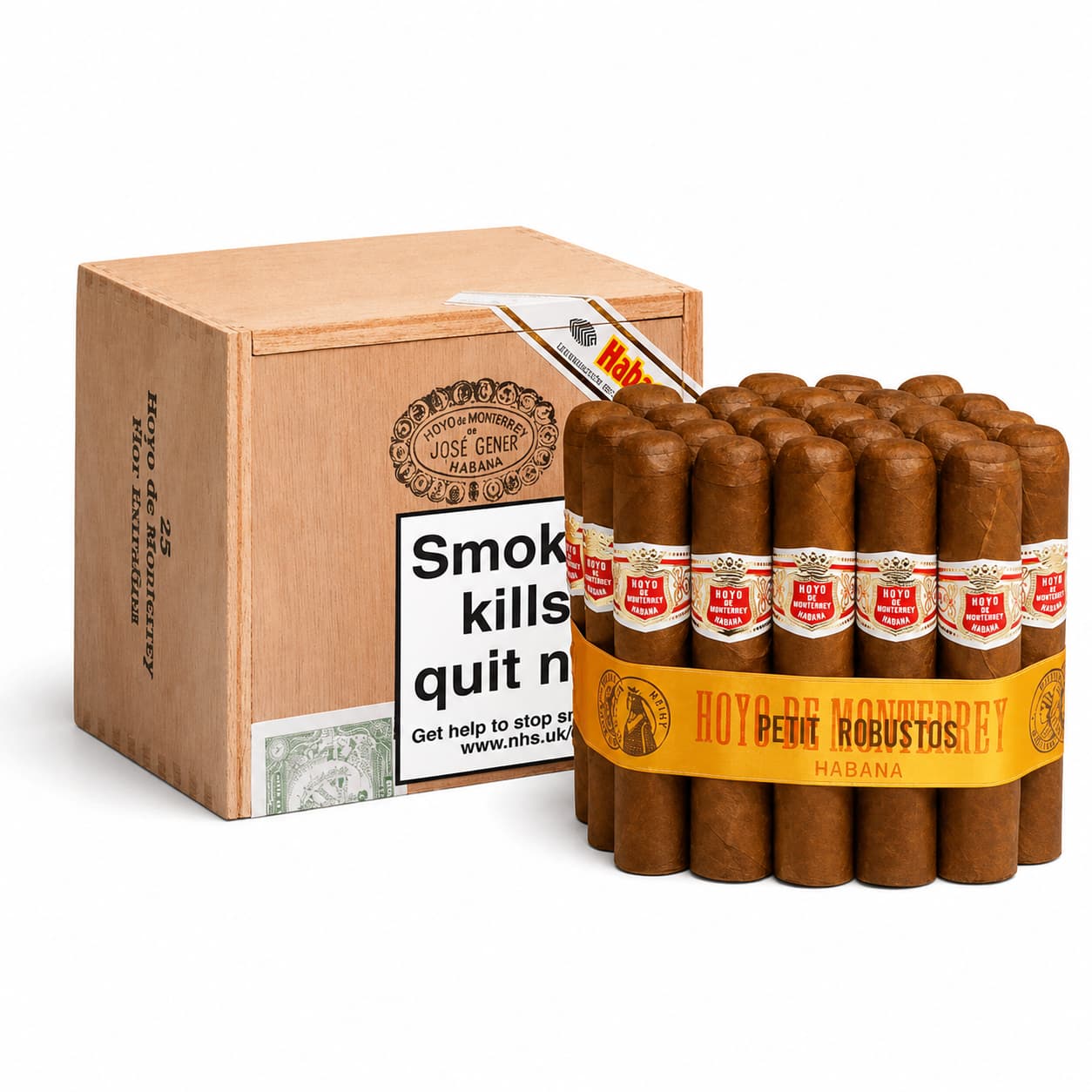 Hoyo De Monterrey Petit Robusto