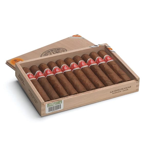 La Flor de Cano Elegidos