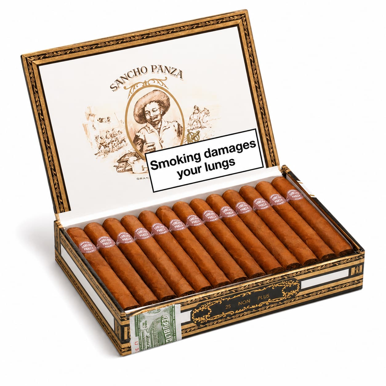 Sancho Panza Non Plus
