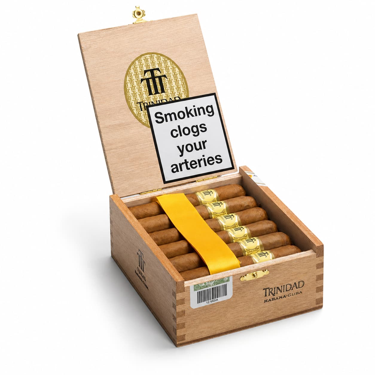 Trinidad Vigia