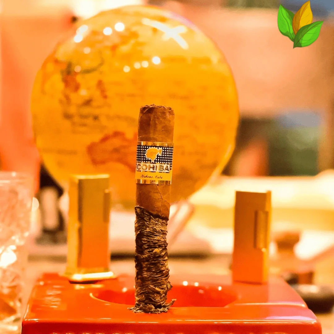Cohiba Siglo VI Ceramic Jar 2
