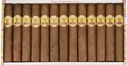 Centenary Selection Band Image