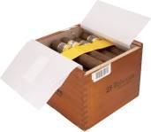 Cohiba Robustos packaging