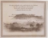 Montecristo Edición Limitada packaging