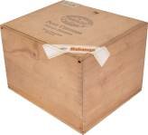 Partagás Petit Coronas packaging