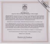 Punch Edición Regional Irlanda packaging