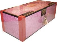 Ramón Allones Edición Regional Líbano packaging