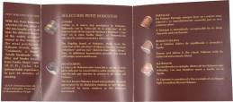 Multi-Brand Releases Selección Petit Robustos packaging