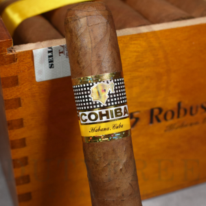 Cohiba Robusto (2)