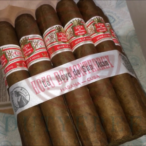 Hoyo de Monterrey Serie Le Hoyo 2