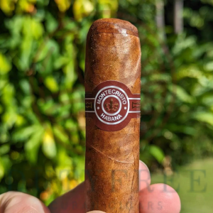 Montecristo Petit Edmundo (1)