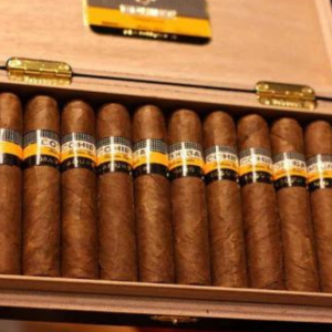 Cohiba Maduros 5 Genios (3)