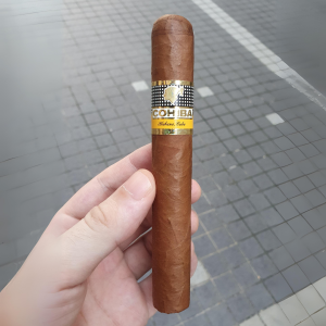 Cohiba Siglo VI (2)