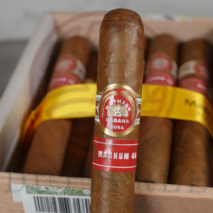 H Upmann Magnum 46 (2)