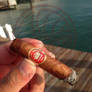 H Upmann Petit Corona (2)