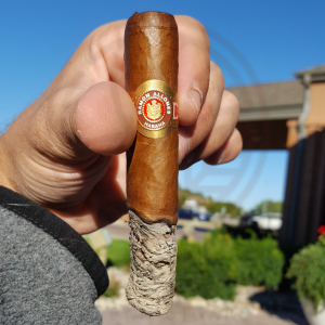 Ramon Allones Specially Selected (2)